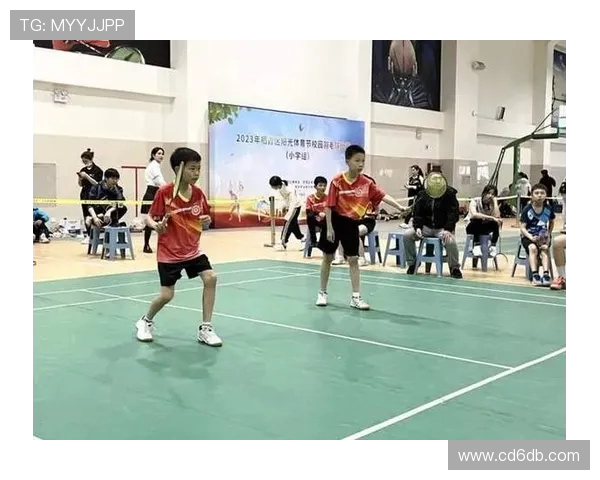 南京羽毛球队的拼搏历程与精英赛荣耀之路